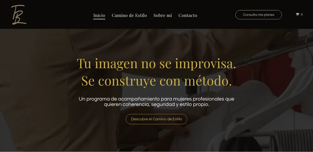Web de Teresa Barrón, ejemplo de estructura completa de marca de BARRONVISUAL